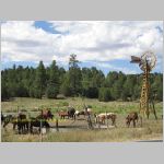 20060820_20Zion_003 copia.jpg